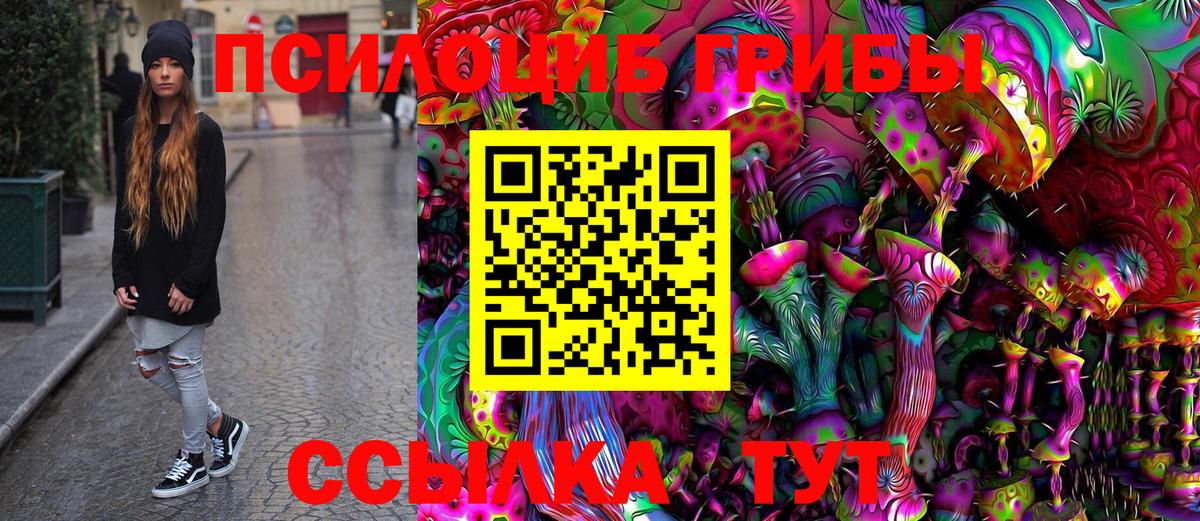 Галлюциногенные грибы Psilocybine cubensis  Вологда 