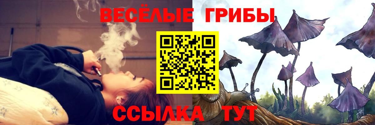 Вологда  Псилоцибиновые грибы ЛСД  Вход с VPN 